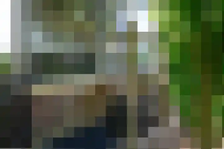 Zutphensestraatweg 36 Dieren thumbnail 32