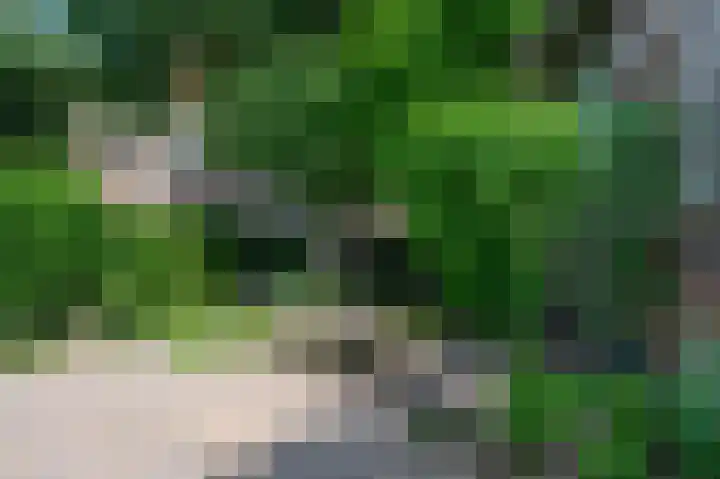 Zutphensestraatweg 36 Dieren thumbnail 33