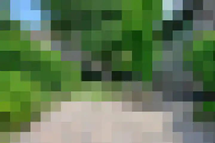 Zutphensestraatweg 36 Dieren thumbnail 34