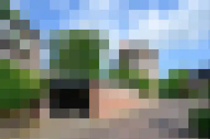 Zutphensestraatweg 36 Dieren thumbnail 36