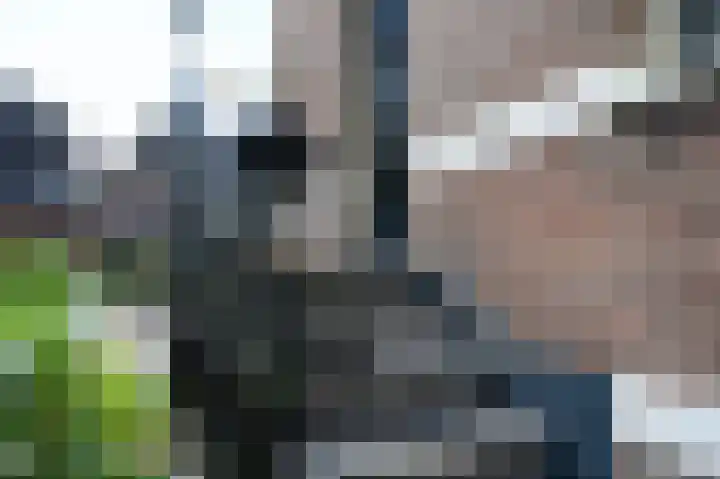 Zutphensestraatweg 36 Dieren thumbnail 37
