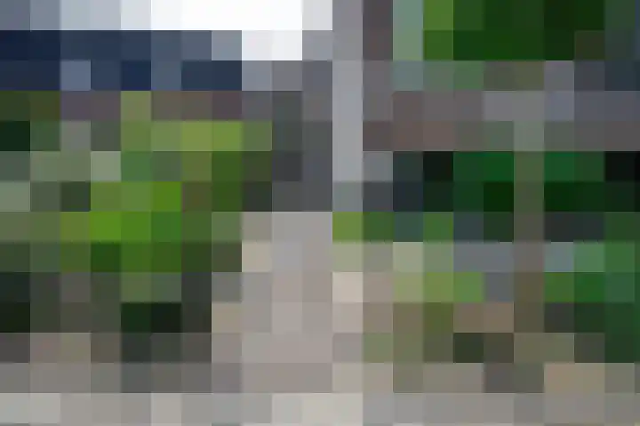 Zutphensestraatweg 36 Dieren thumbnail 39