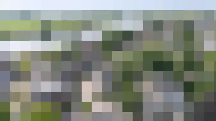 Zutphensestraatweg 36 Dieren thumbnail 43