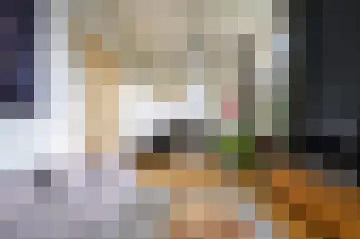 Zutphensestraatweg 36 Dieren thumbnail 8
