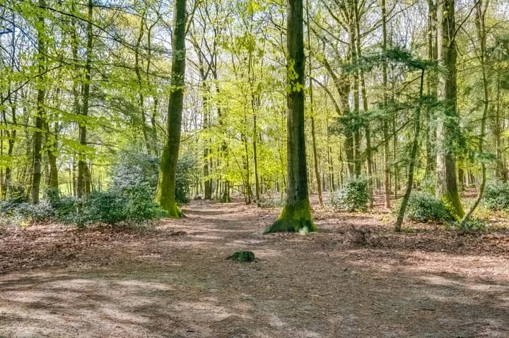 Zutphensestraatweg 43 Dieren thumbnail 52