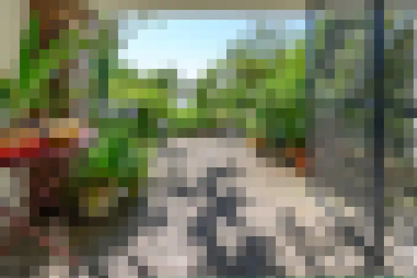 Zutphensestraatweg 48 c Dieren thumbnail 25