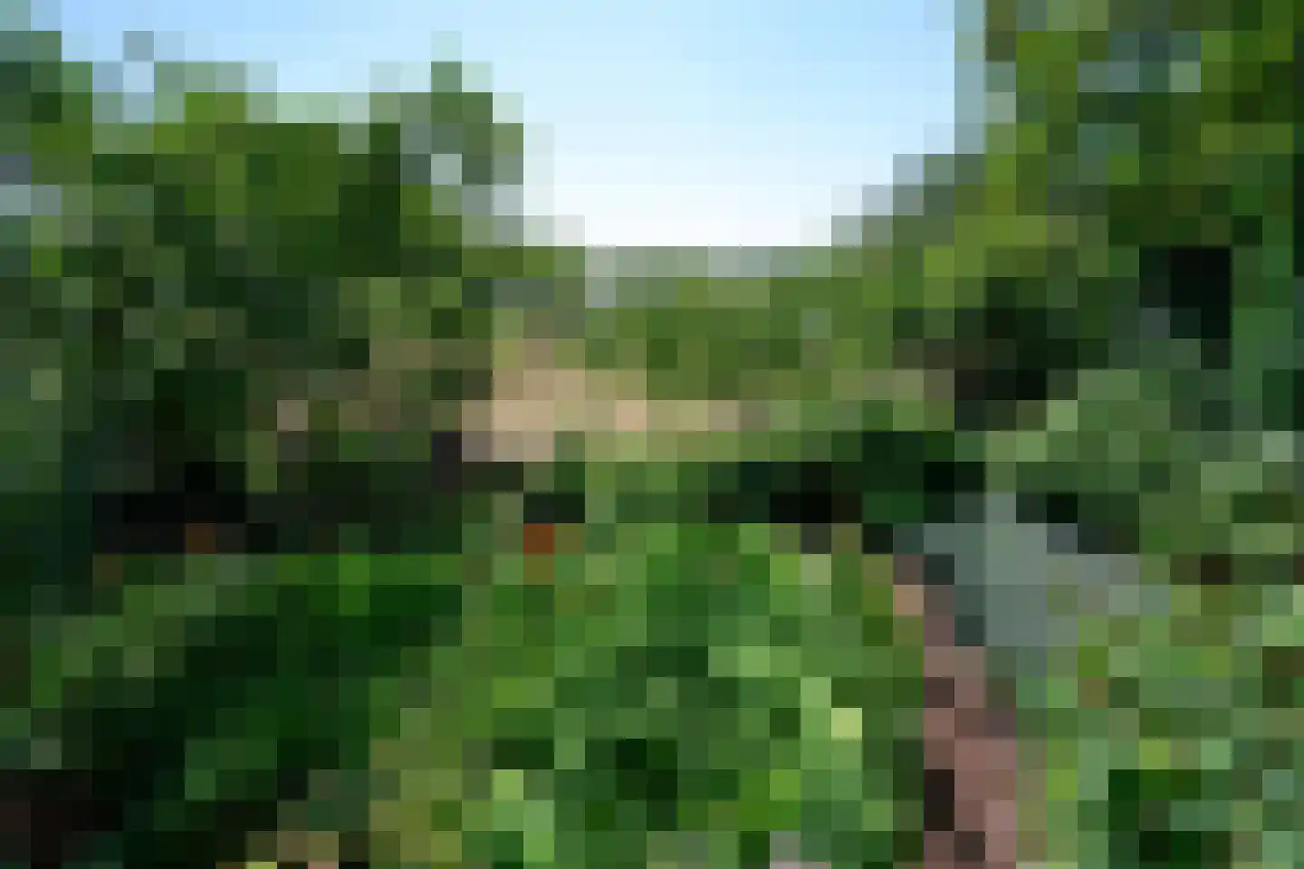 Zutphensestraatweg 48 c Dieren thumbnail 28