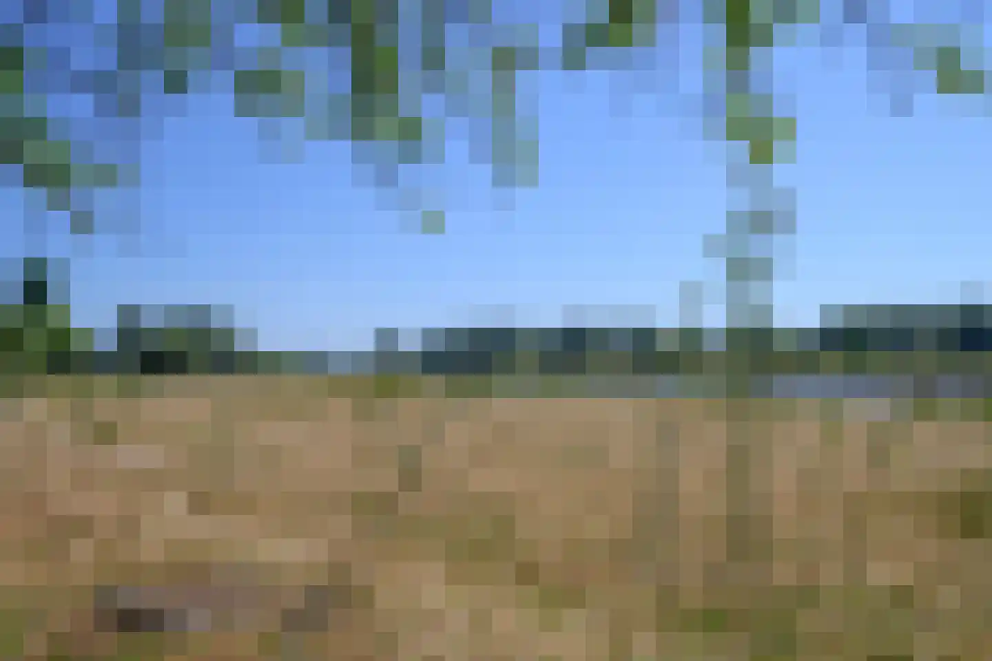 Zutphensestraatweg 48 c Dieren thumbnail 30