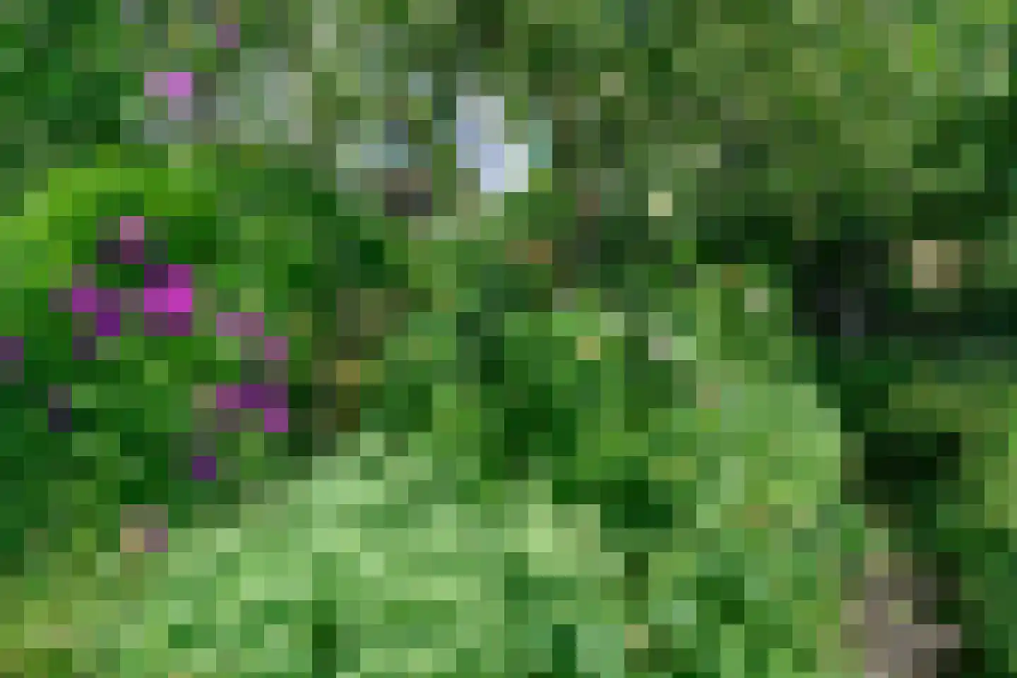 Zutphensestraatweg 48 c Dieren thumbnail 33