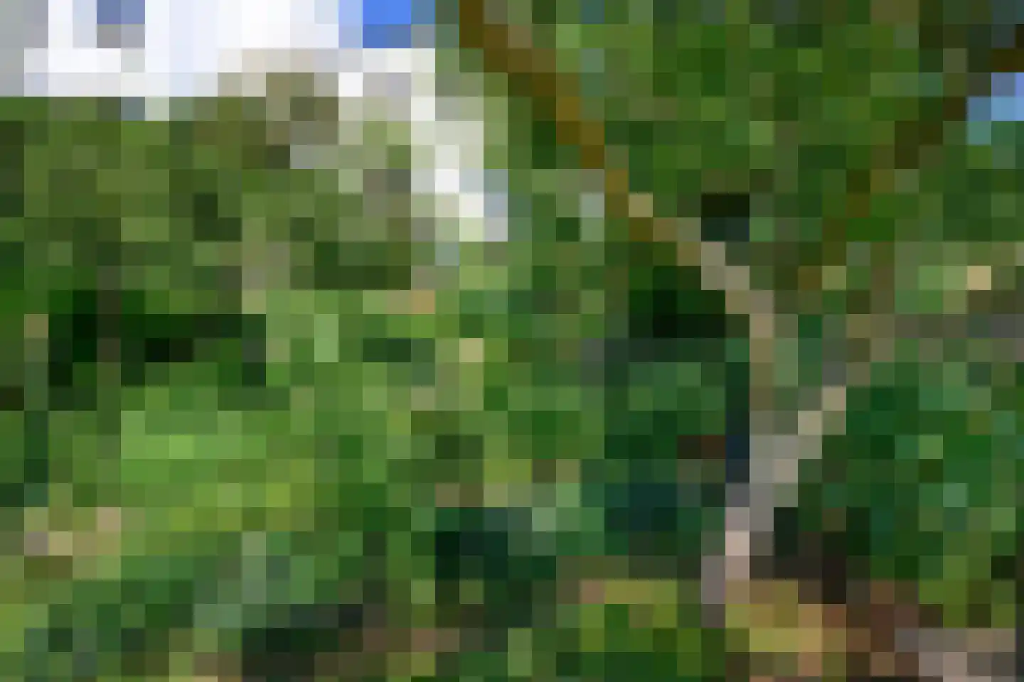 Zutphensestraatweg 48 c Dieren thumbnail 34