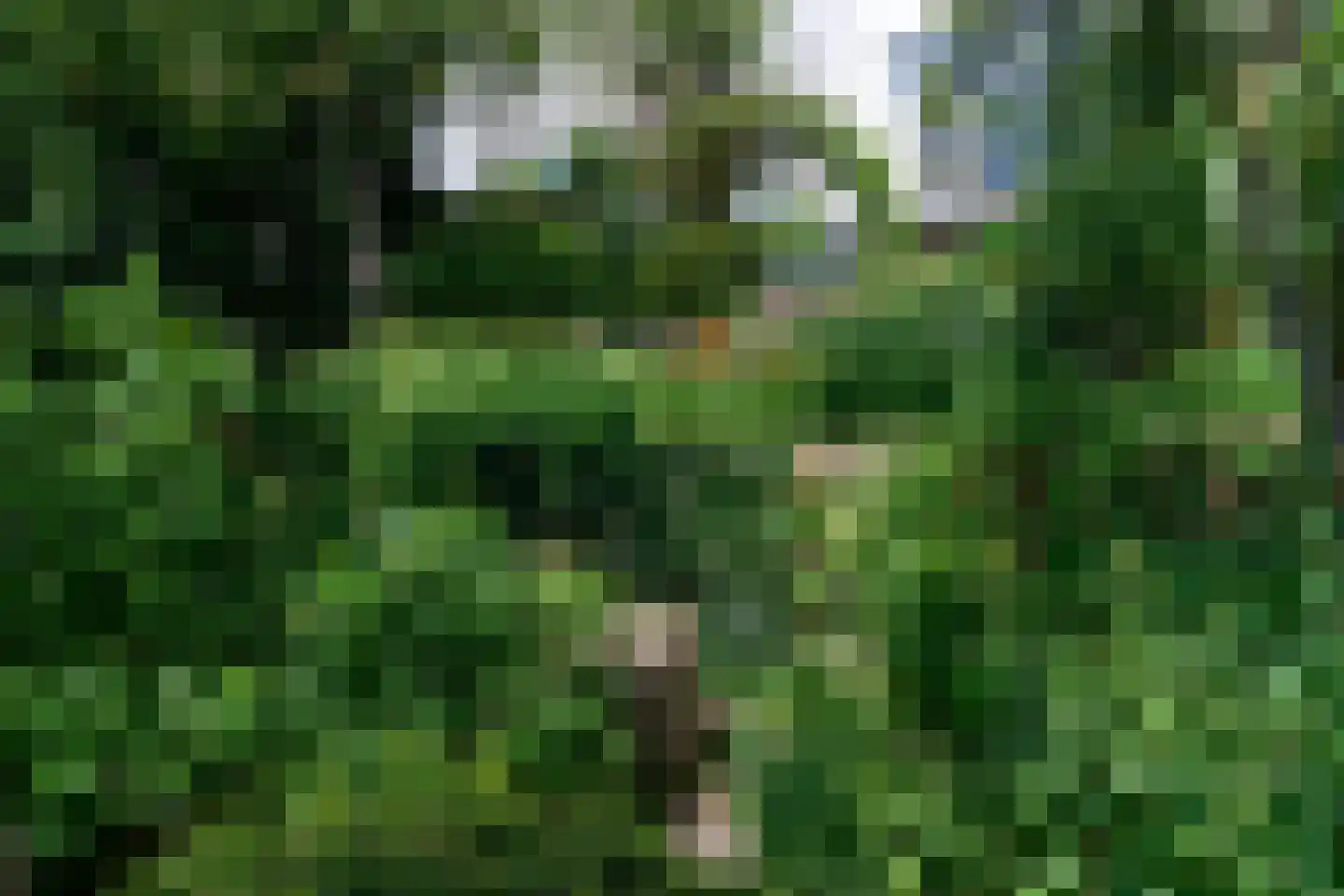 Zutphensestraatweg 48 c Dieren thumbnail 35