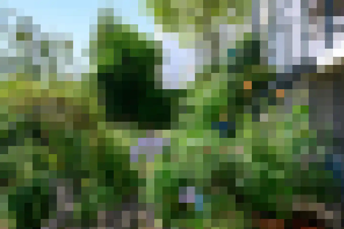 Zutphensestraatweg 48 c Dieren thumbnail 37