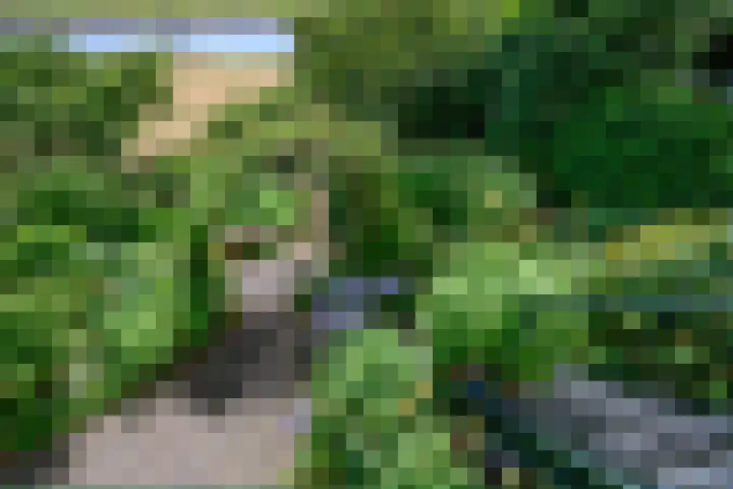 Zutphensestraatweg 48 c Dieren thumbnail 39