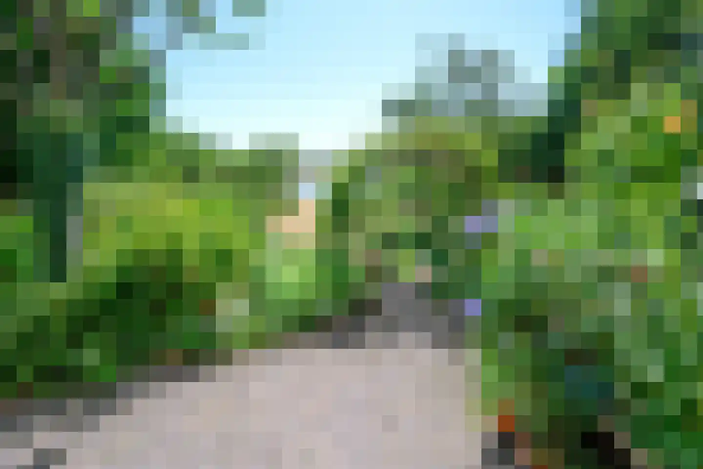 Zutphensestraatweg 48 c Dieren thumbnail 40