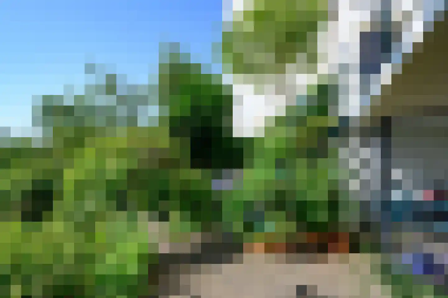 Zutphensestraatweg 48 c Dieren thumbnail 41