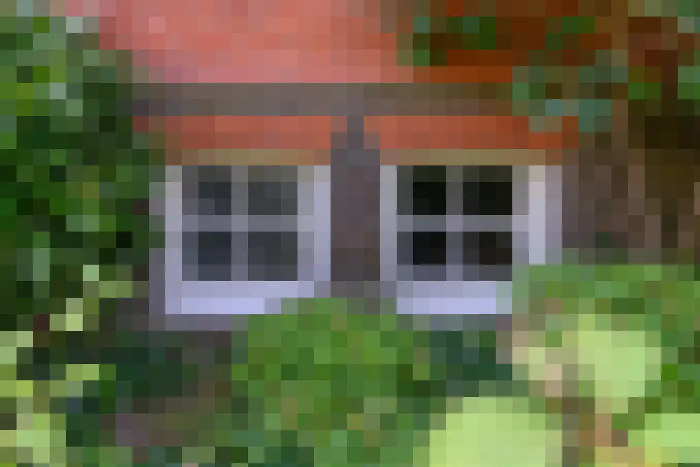 Zutphensestraatweg 48 c Dieren thumbnail 43