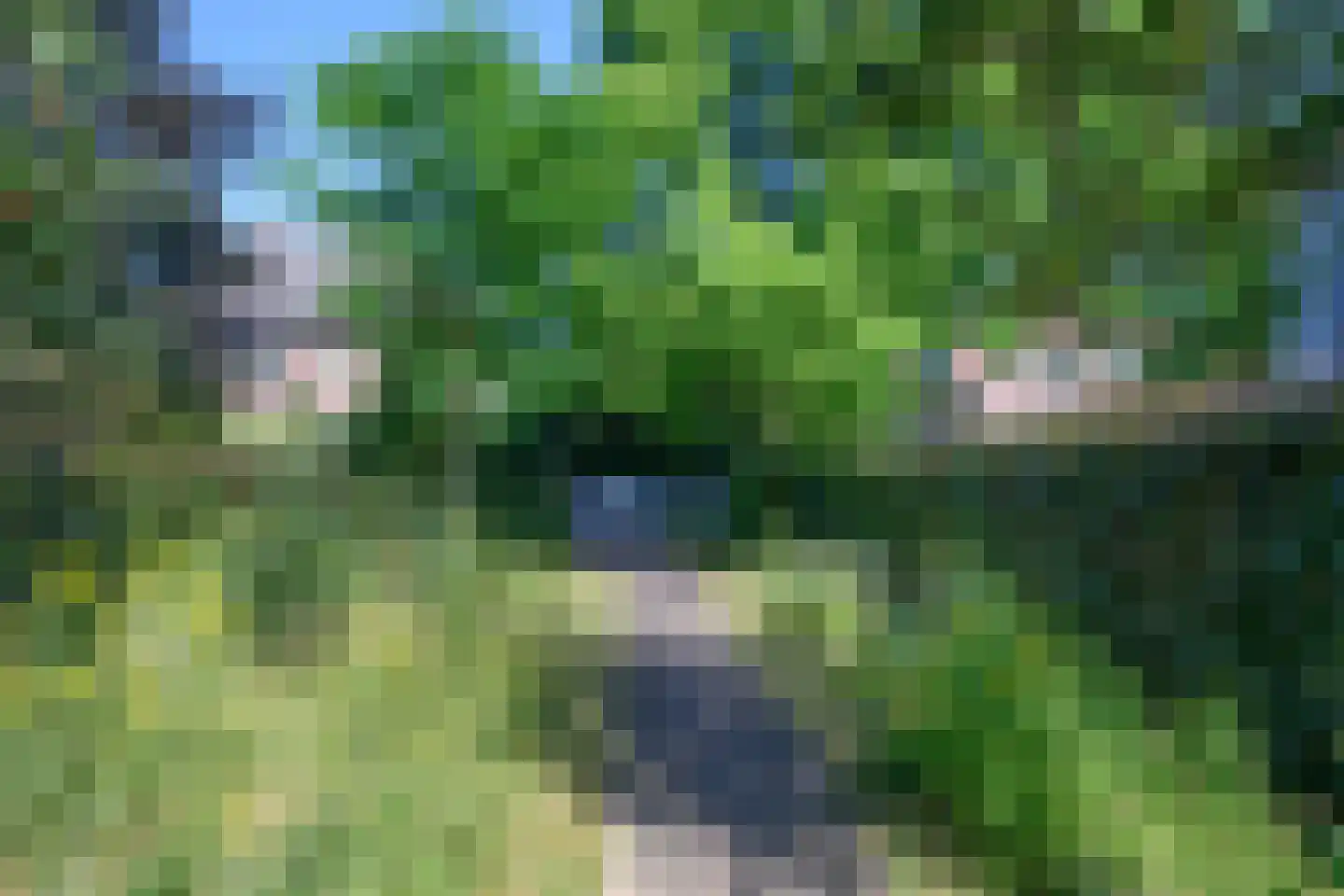 Zutphensestraatweg 48 c Dieren thumbnail 45