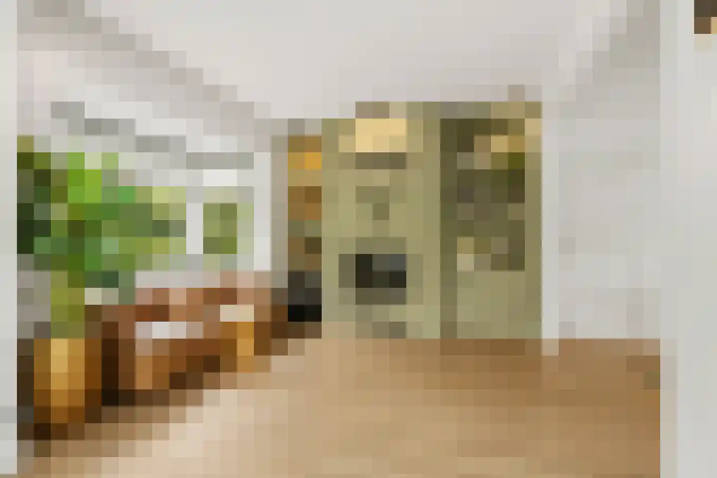 Zutphensestraatweg 49 a Dieren thumbnail 15