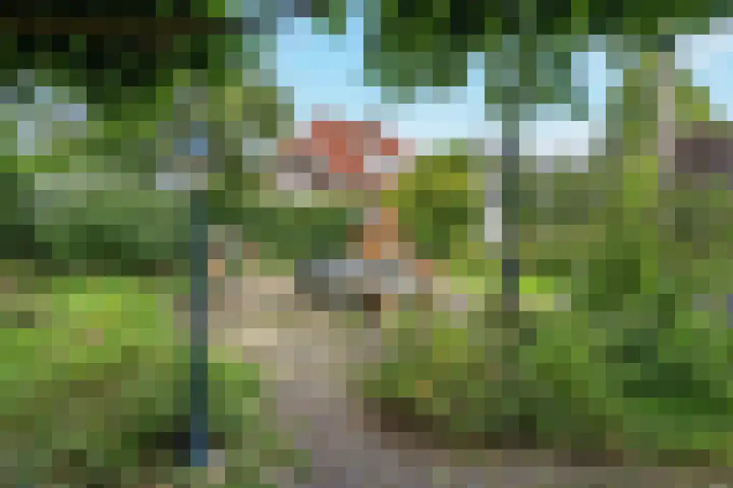Zutphensestraatweg 49 a Dieren thumbnail 49