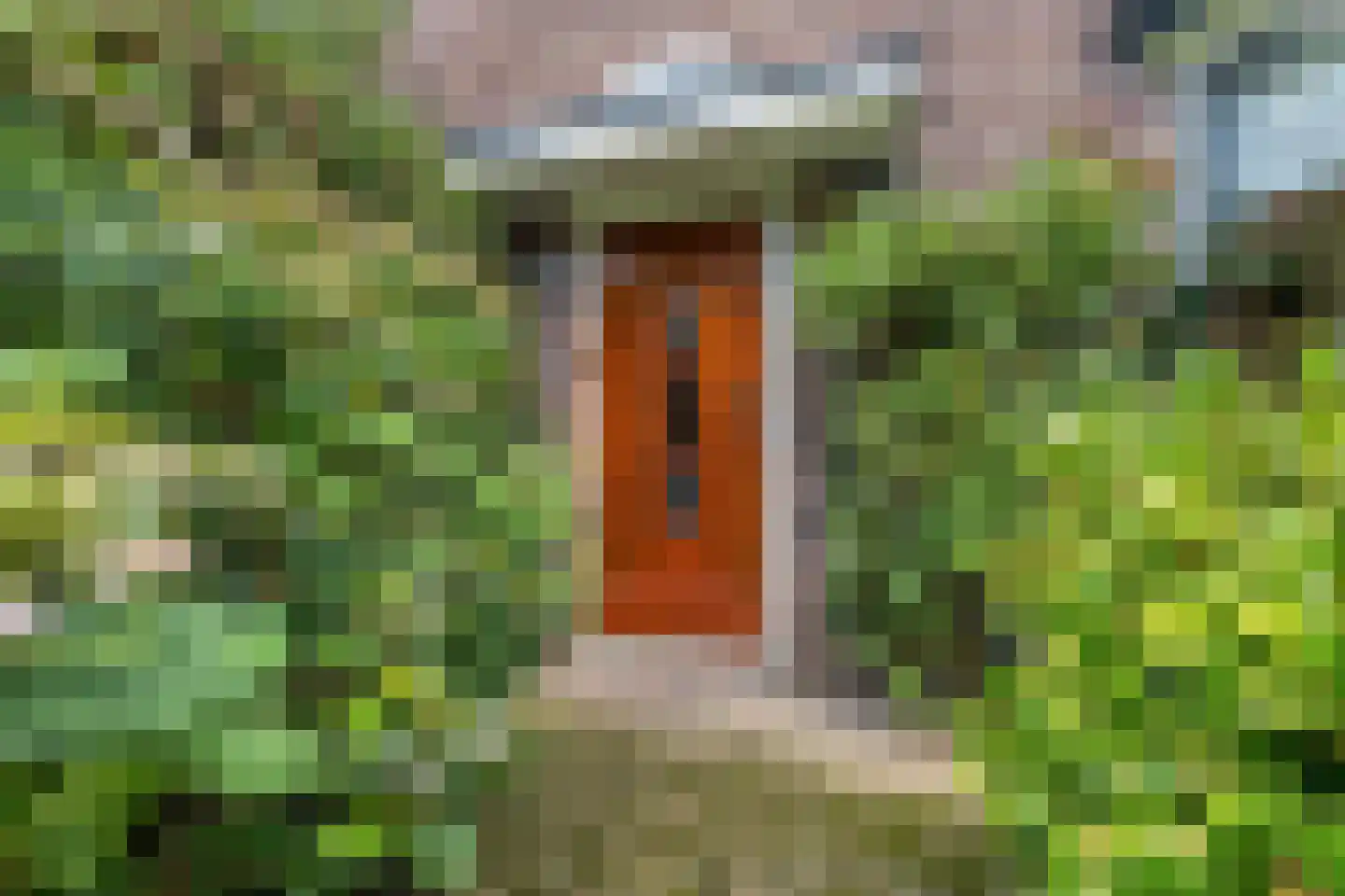 Zutphensestraatweg 49 a Dieren thumbnail 7