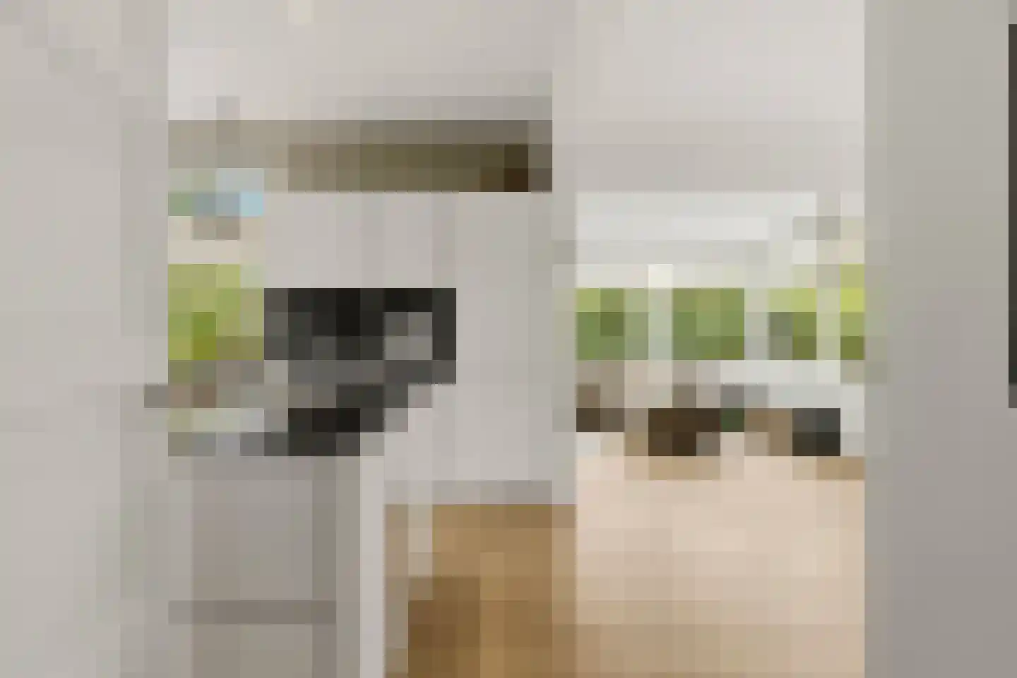 Zutphensestraatweg 49 a Dieren thumbnail 9