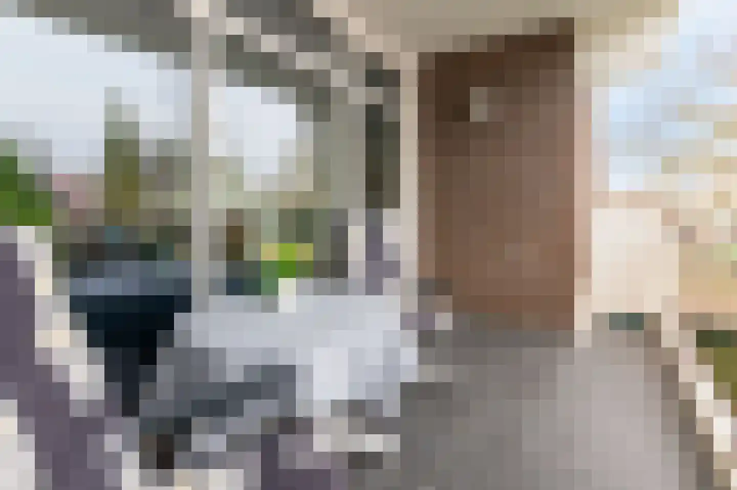 Zutphensestraatweg 57 Velp thumbnail 20