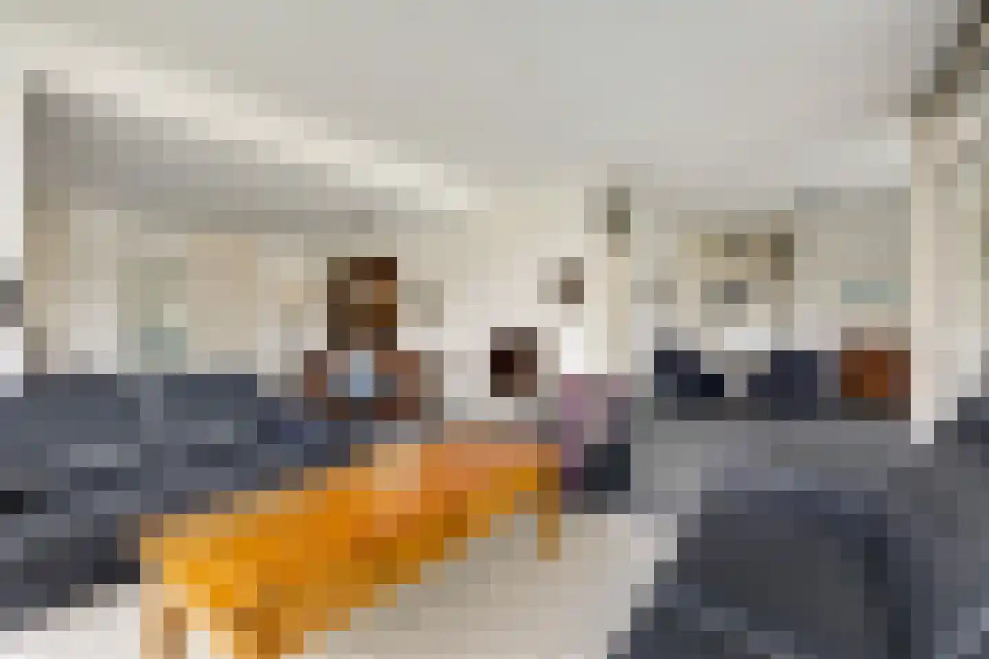 Zutphensestraatweg 57 Velp thumbnail 25