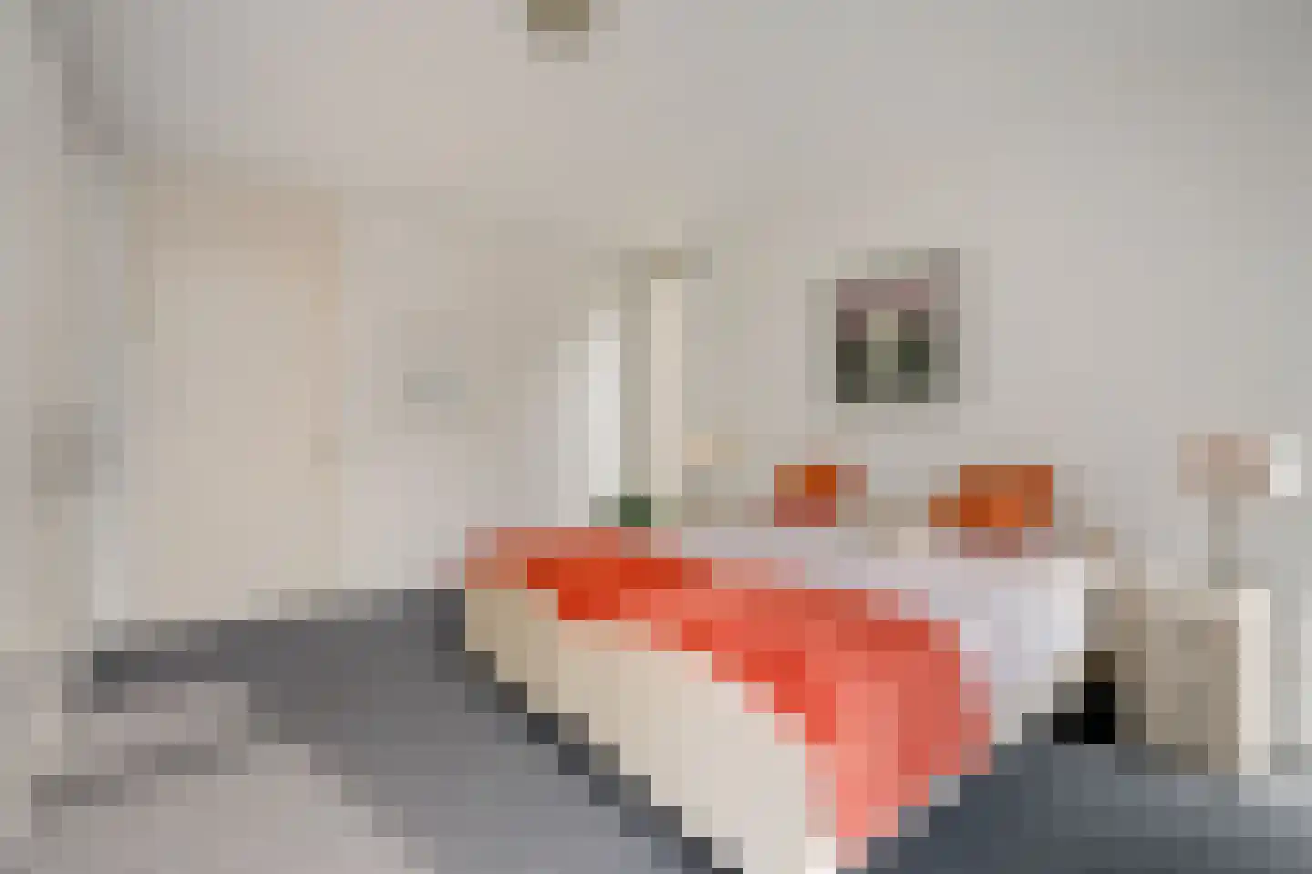 Zutphensestraatweg 57 Velp thumbnail 31