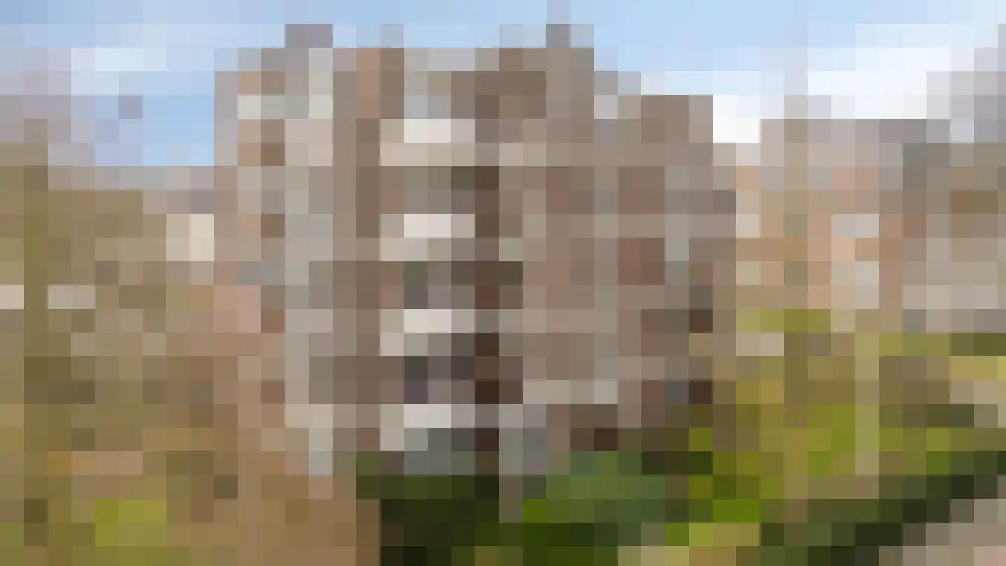 Zutphensestraatweg 57 Velp thumbnail 5