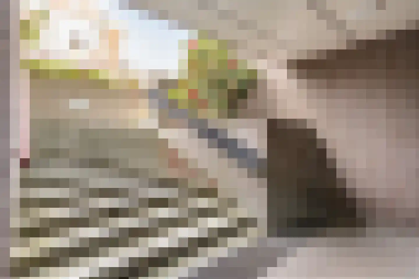 Zutphensestraatweg 57 Velp thumbnail 9