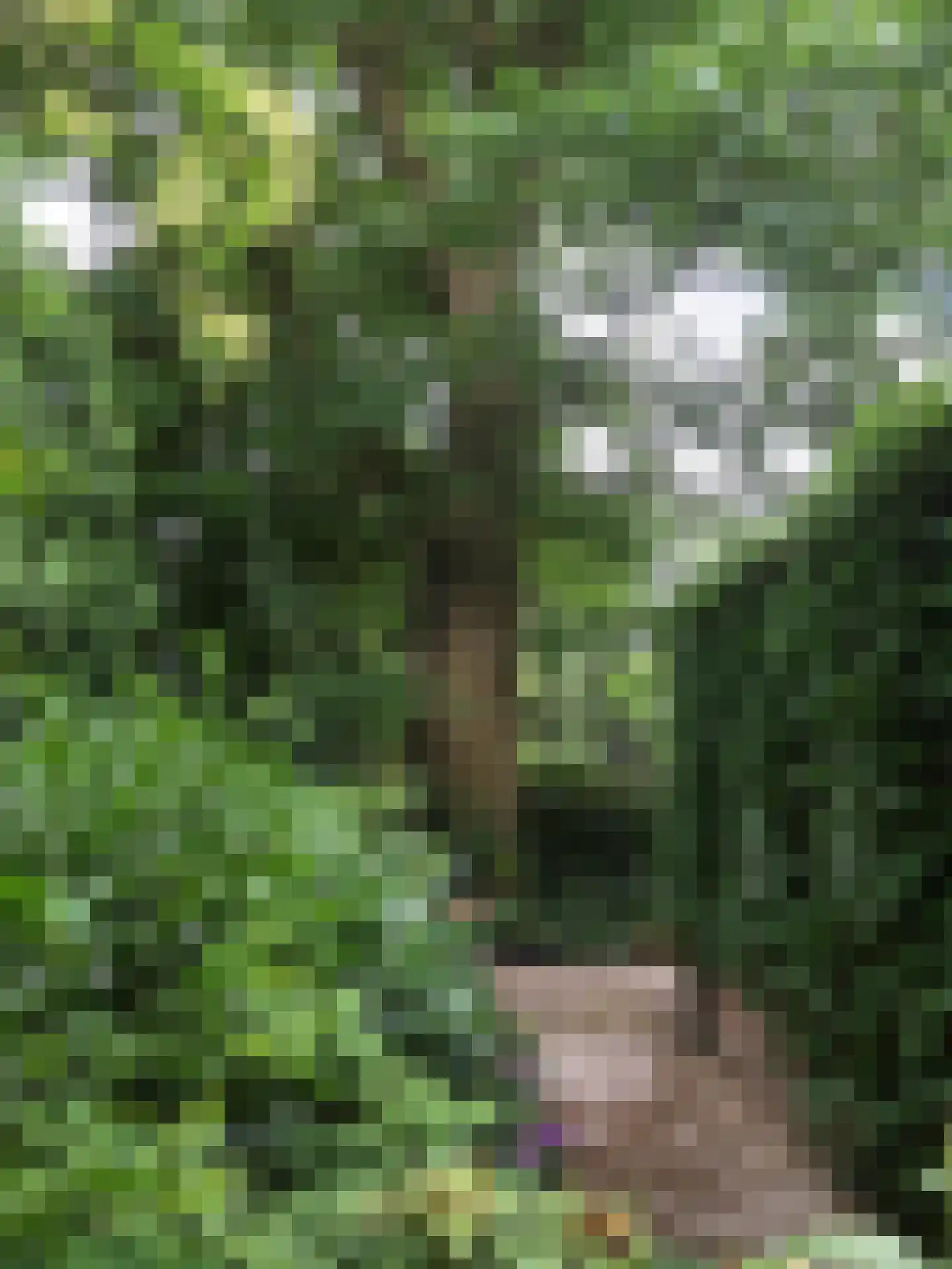 Zutphensestraatweg 7 Velp thumbnail 38