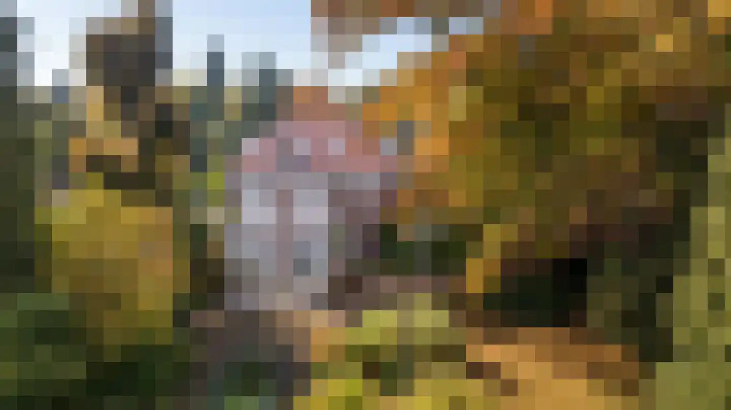 Zutphensestraatweg 7 Velp thumbnail 4