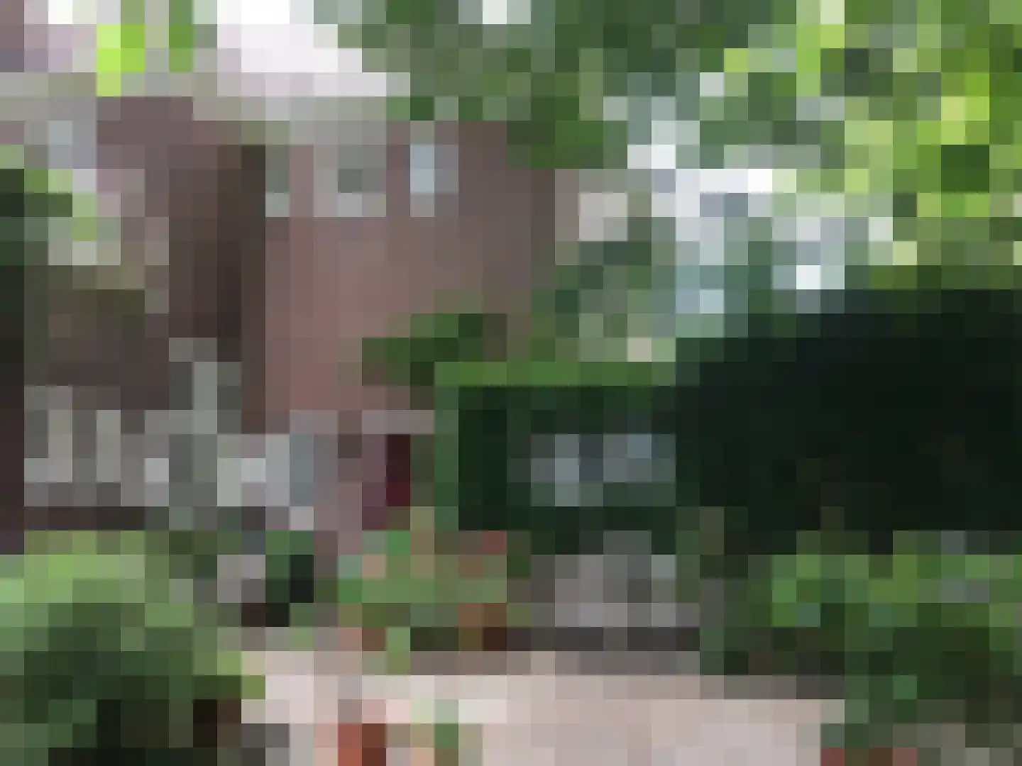 Zutphensestraatweg 7 Velp thumbnail 40