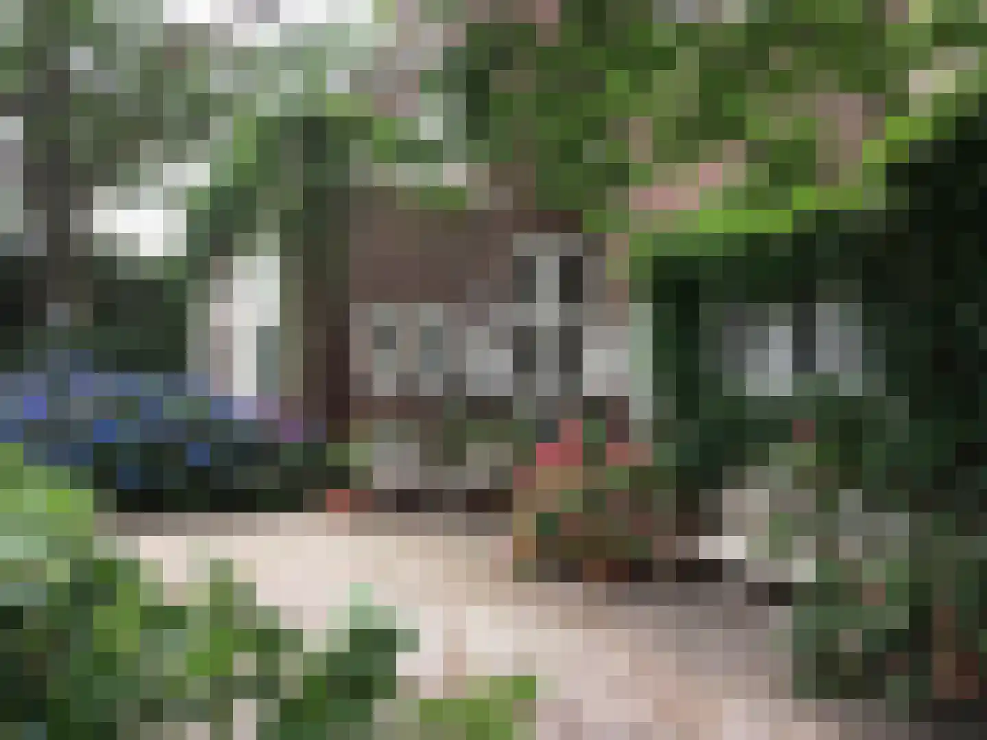 Zutphensestraatweg 7 Velp thumbnail 41