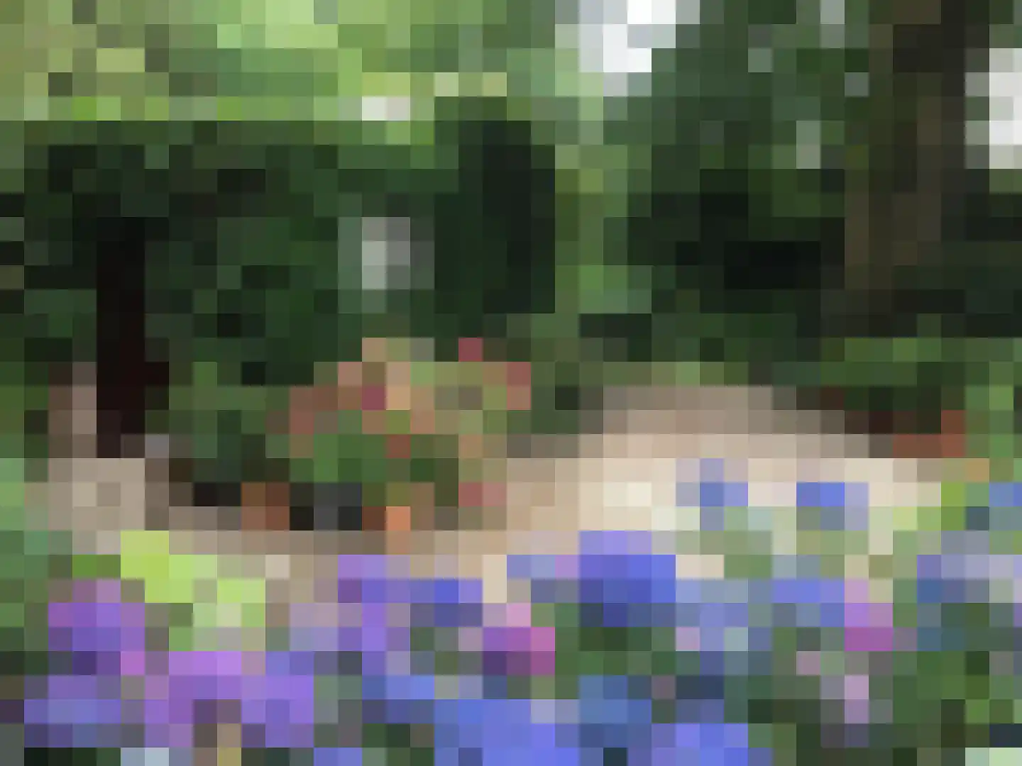Zutphensestraatweg 7 Velp thumbnail 42
