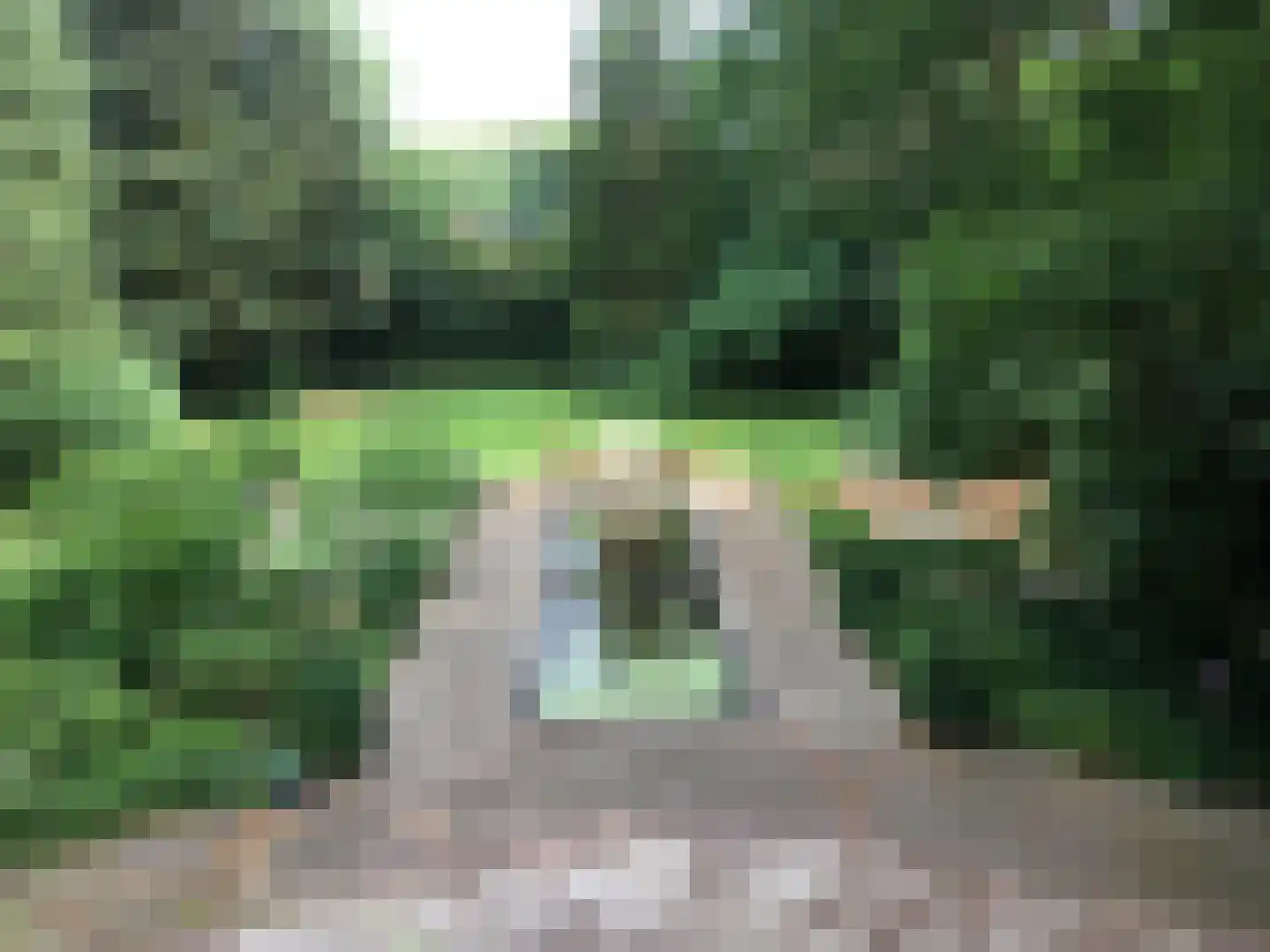 Zutphensestraatweg 7 Velp thumbnail 43