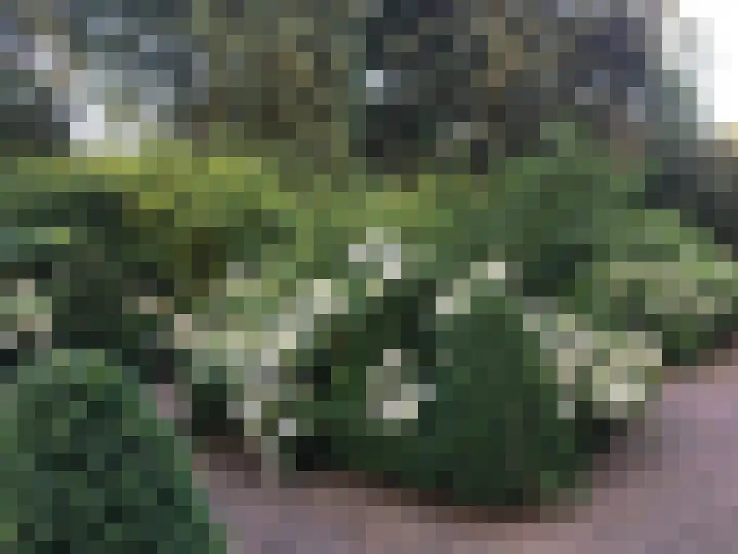 Zutphensestraatweg 7 Velp thumbnail 44