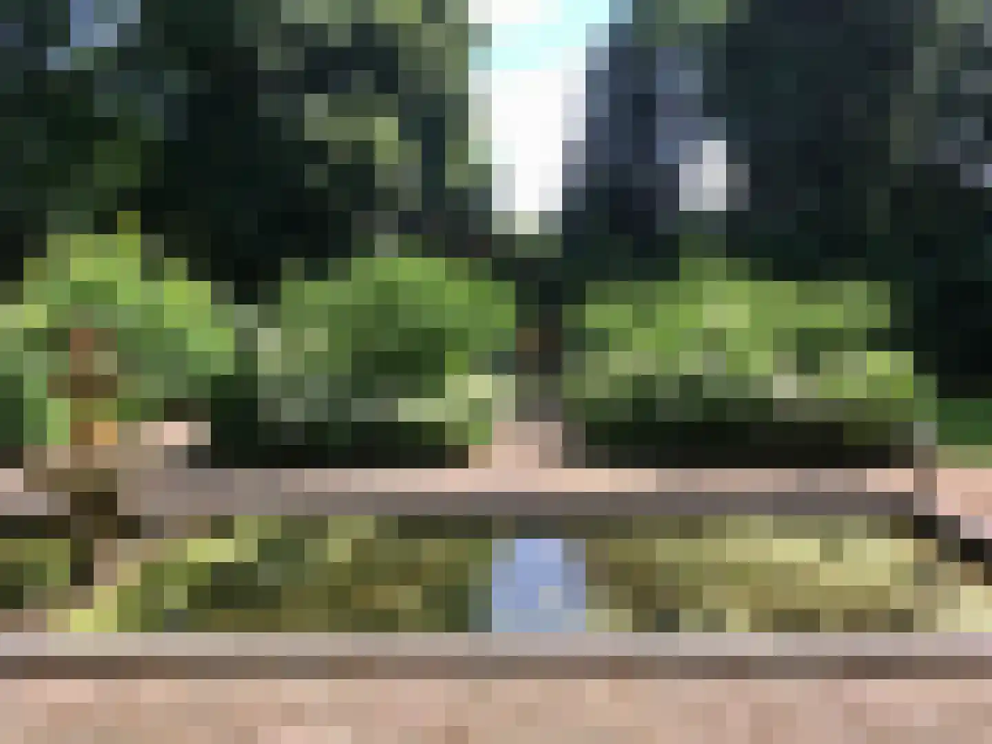 Zutphensestraatweg 7 Velp thumbnail 45