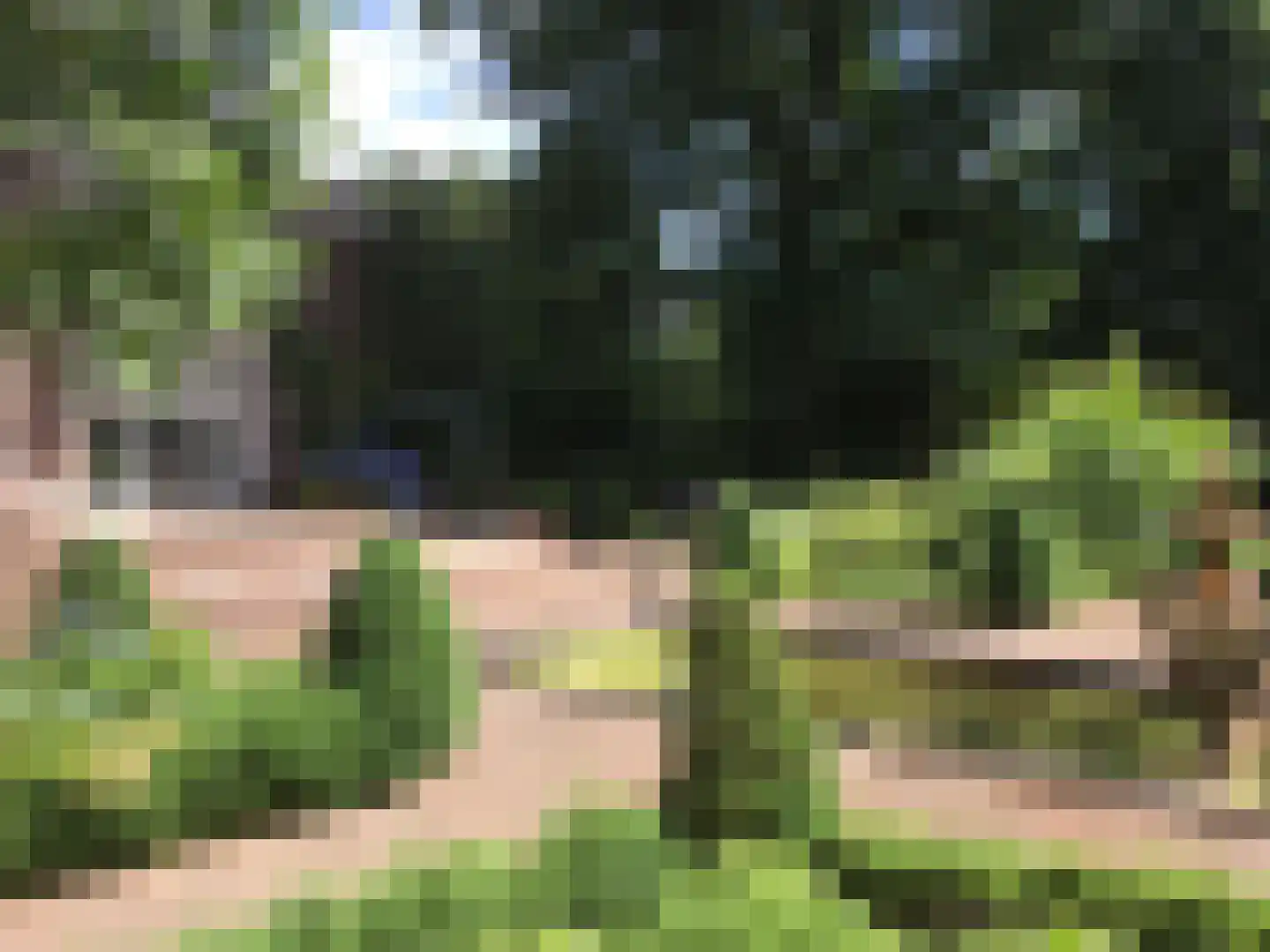 Zutphensestraatweg 7 Velp thumbnail 46