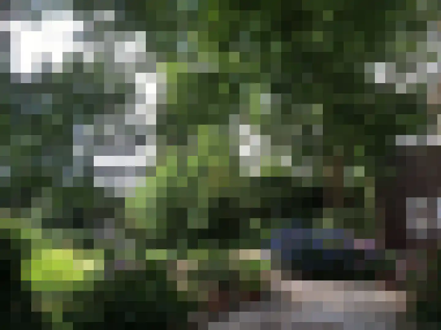 Zutphensestraatweg 7 Velp thumbnail 48