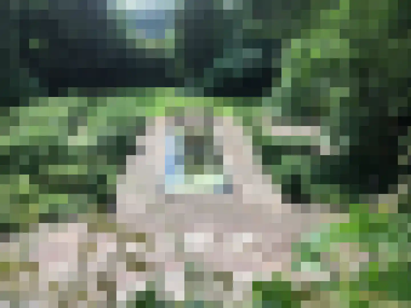 Zutphensestraatweg 7 Velp thumbnail 49