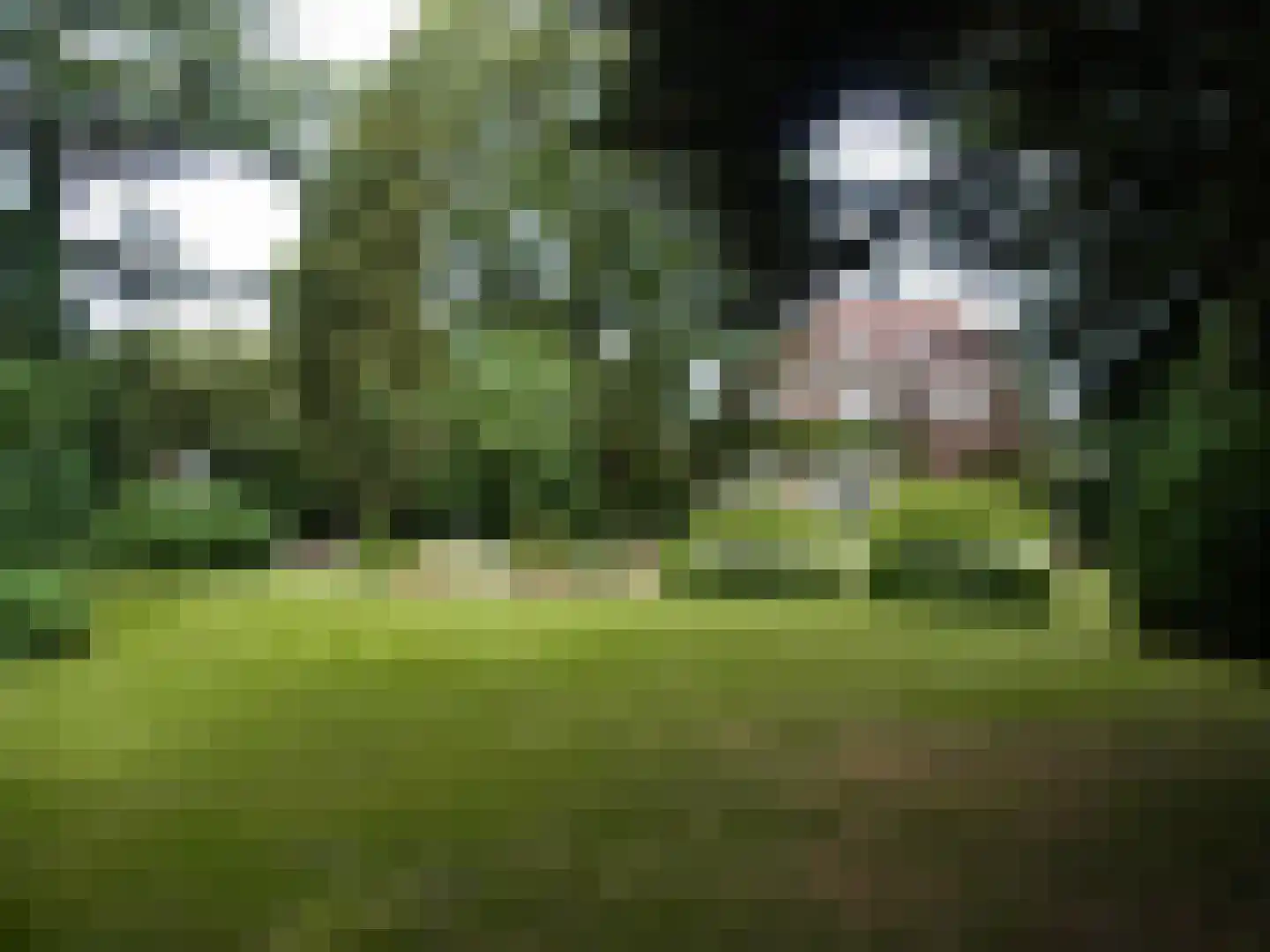 Zutphensestraatweg 7 Velp thumbnail 50