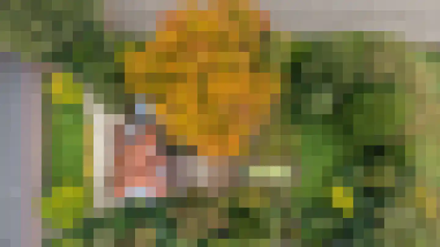 Zutphensestraatweg 7 Velp thumbnail 52