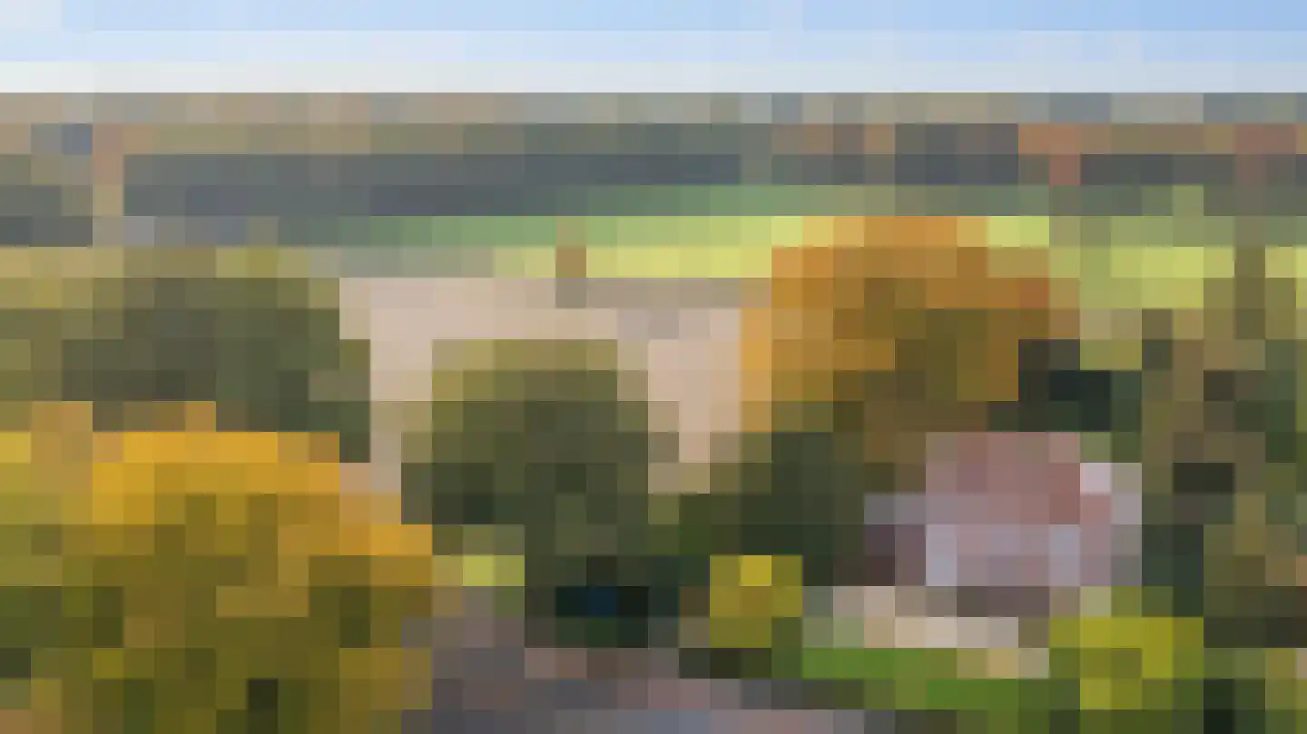Zutphensestraatweg 7 Velp thumbnail 53