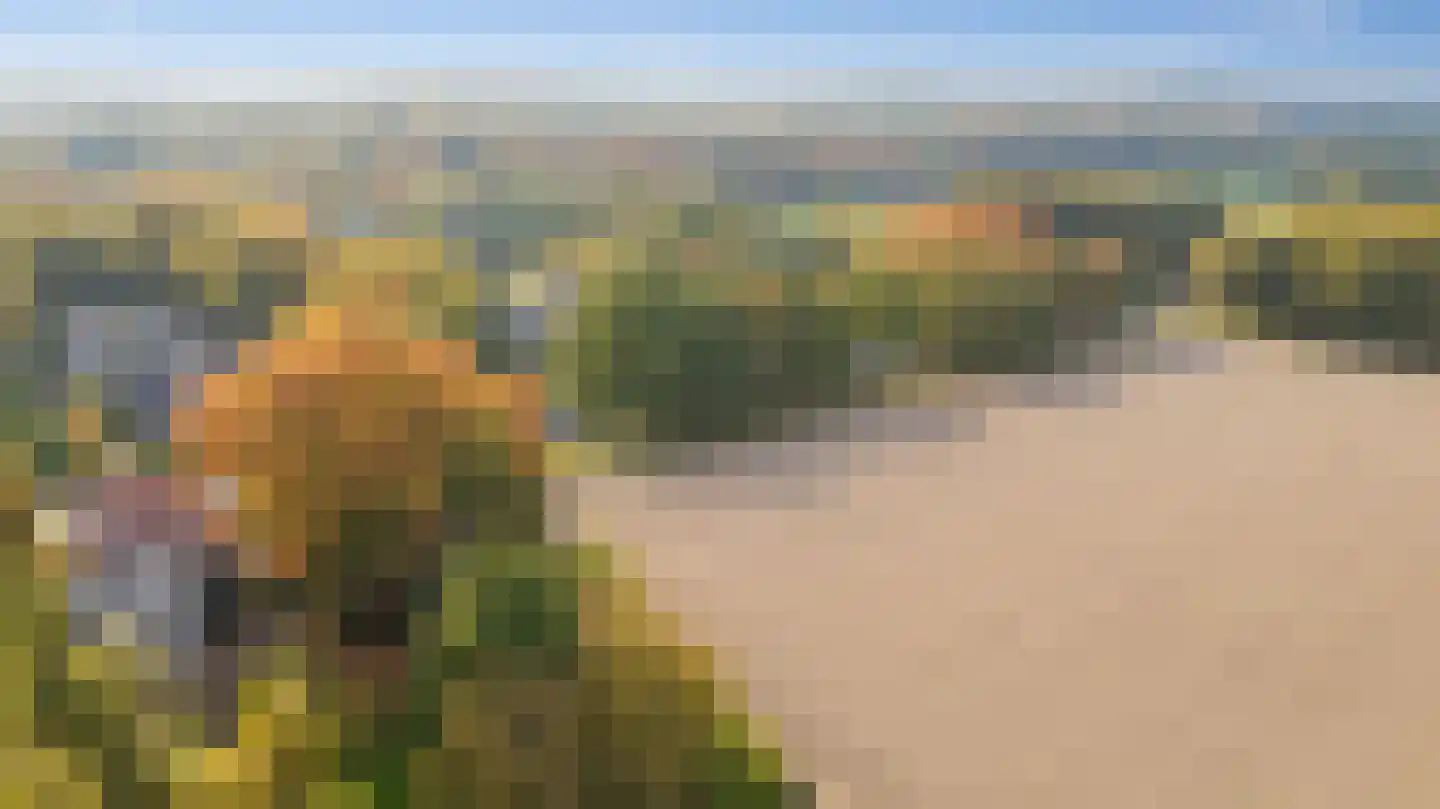 Zutphensestraatweg 7 Velp thumbnail 55