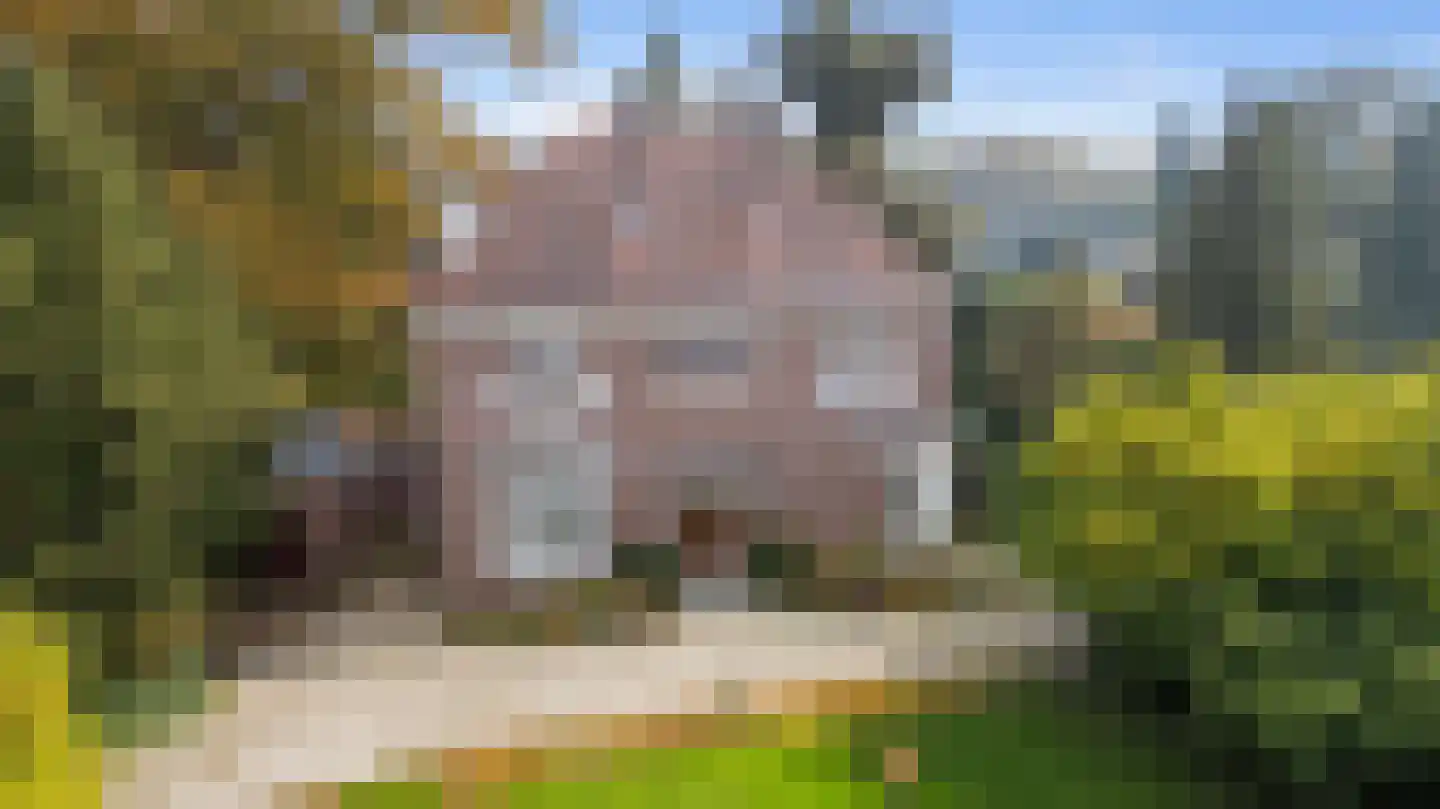 Zutphensestraatweg 7 Velp thumbnail 7