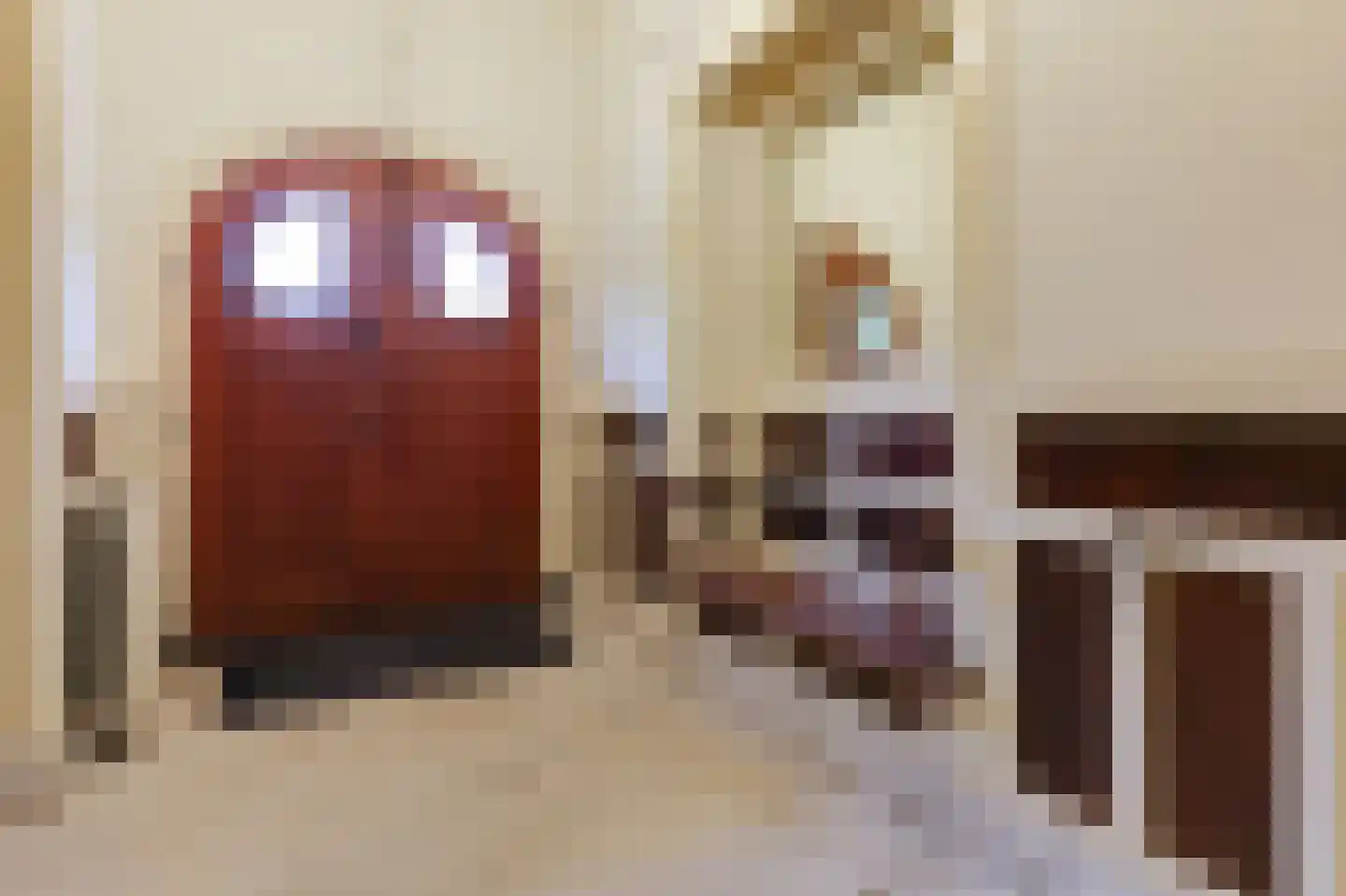 Zutphensestraatweg 7 Velp thumbnail 9