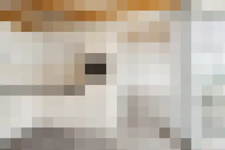 Zutphensestraatweg 88 Dieren thumbnail 10