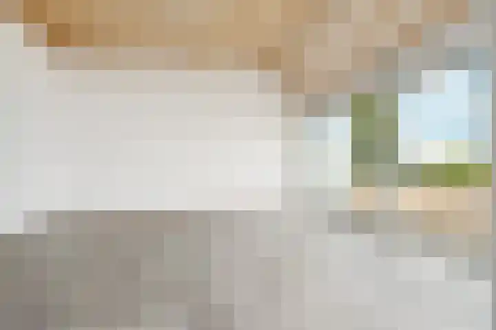 Zutphensestraatweg 88 Dieren thumbnail 11