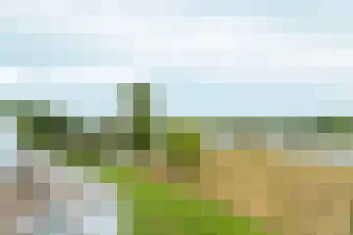 Zutphensestraatweg 88 Dieren thumbnail 12
